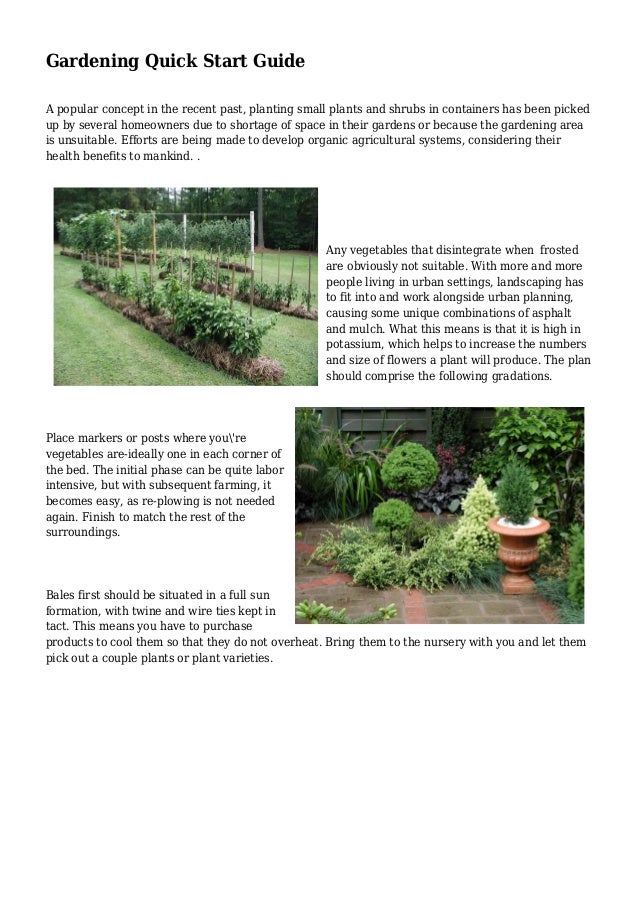 Organic Gardening: A Quick Start Guide